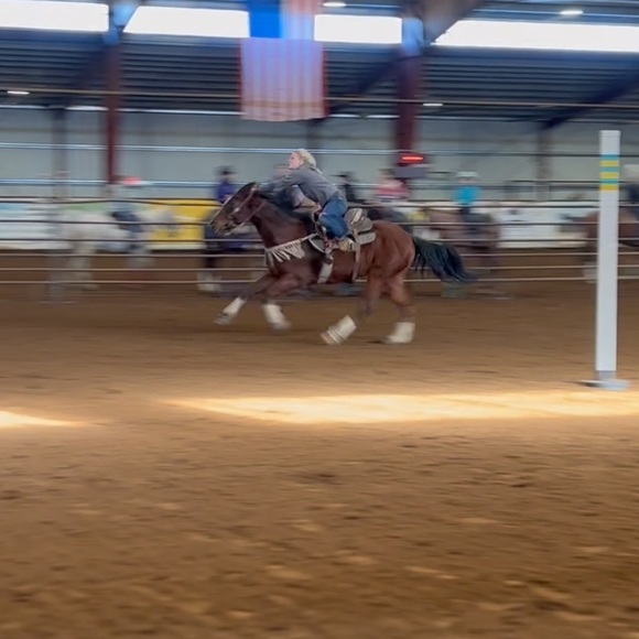 Meet your Posher, Mozzy - Picture 5 of 6